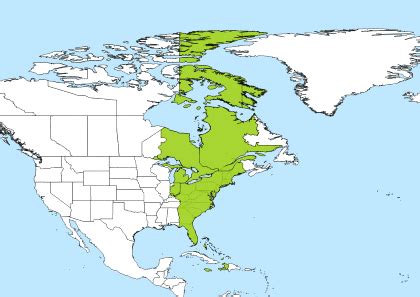 9pm eastern to uk time|EDT to London Converter .